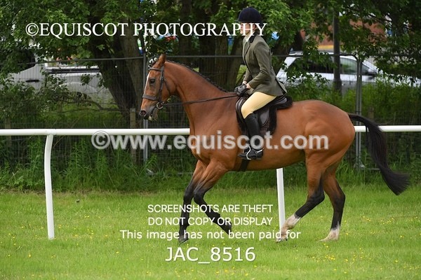JAC_8516 - CLASS 3 BHS STYLE JUMPING
