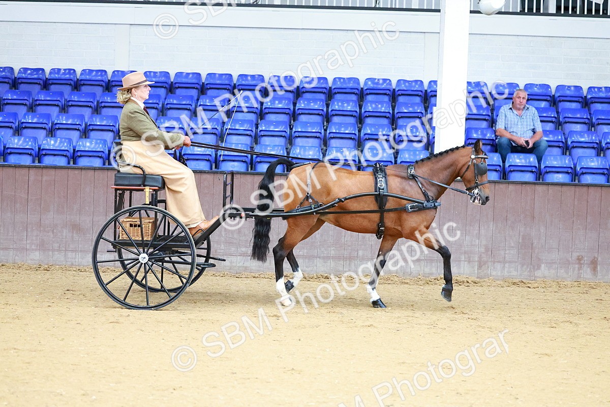 SBM_000091 - Class 3 - Alison Thomas Memorial Lady Whip