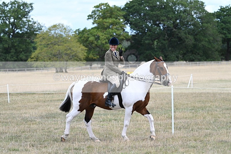 WJ7_4709 - Class 12 Ridden Cob
