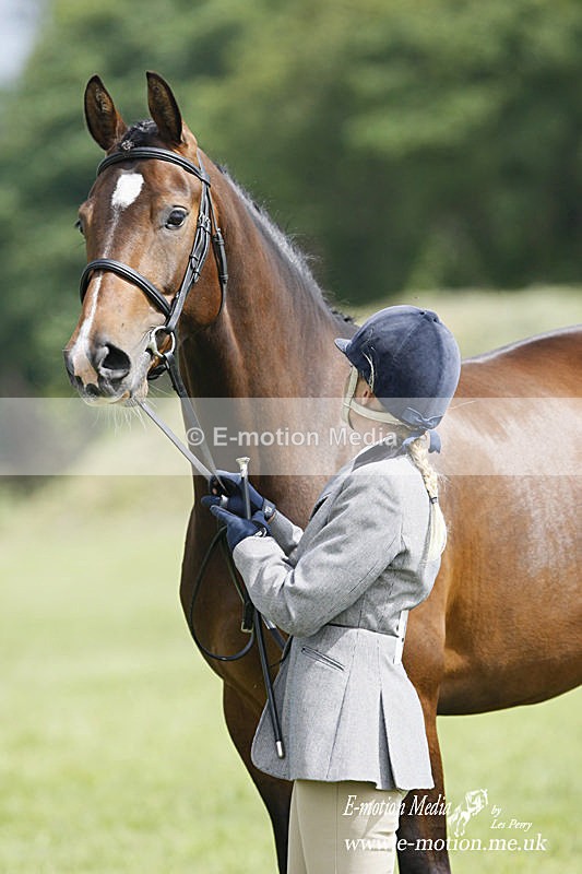 Eq -22 - Equestrian