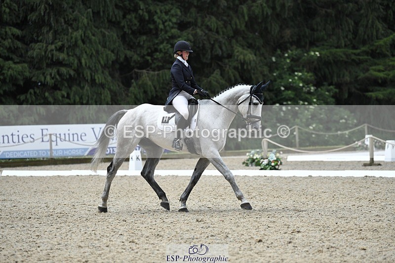 230525-113812-01869 - 102-BANDITO_VAN_POLDERZICHT-Grace_Taylor-WEDTrotUp+DR