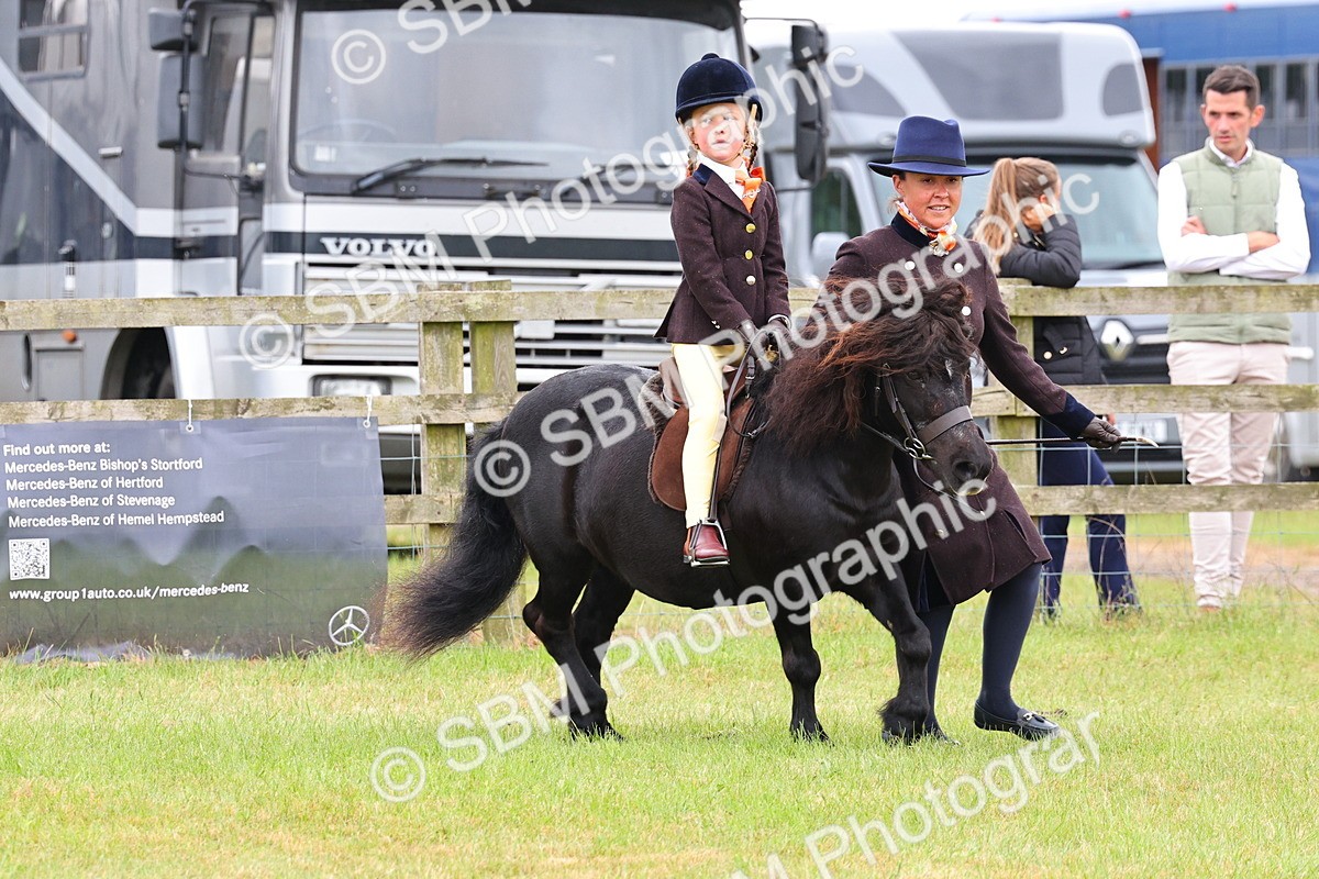 SBM_08152 - Class 42-43 - LIHS BSPS Heritage Working Sports Pony