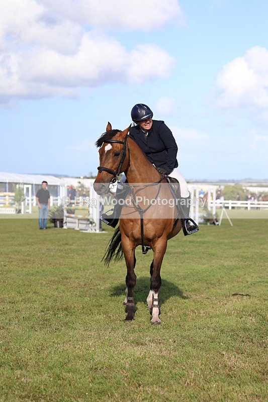 3E7A4543 - Class C: Showjumping Senior Foxhunter