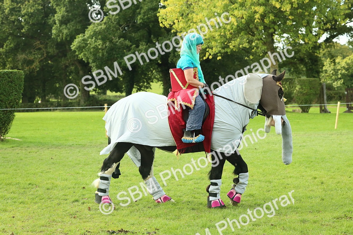SBM_63504 - S35 - Fancy Dress Showing