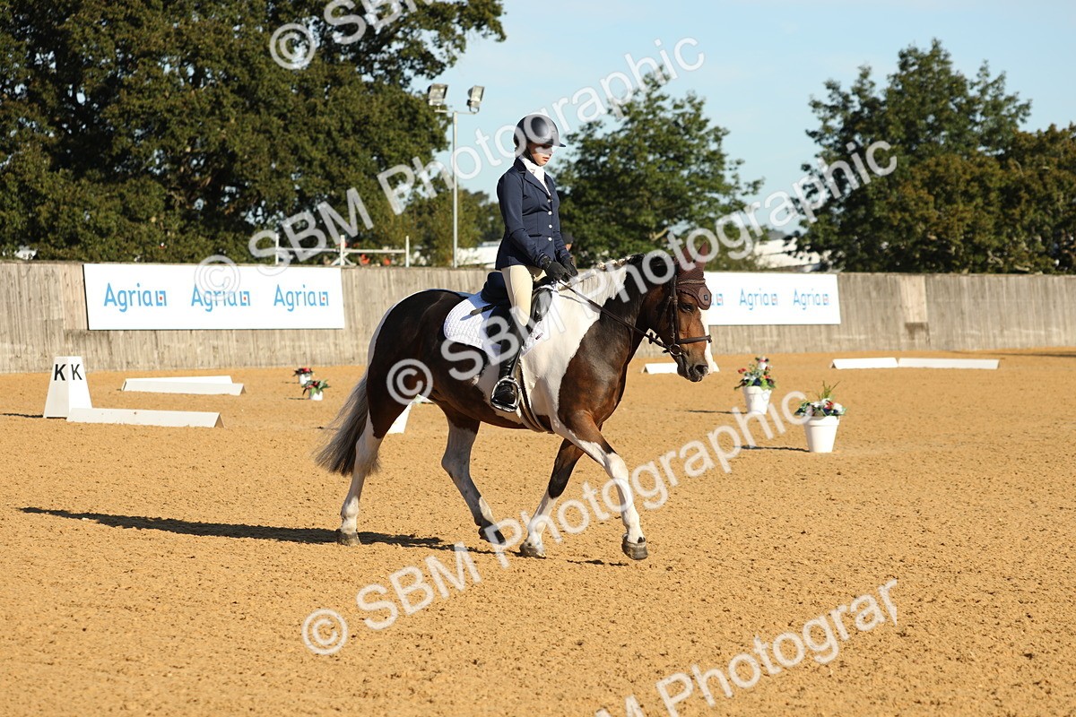 SBM_16381 - D10 - Small Tour Championship - Prelim 2
