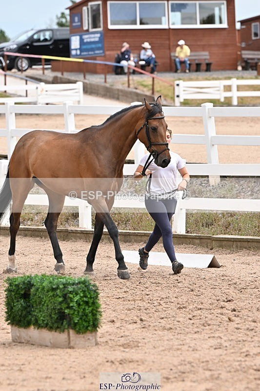 250716-144038-01295 - Trot Up 2.30 to 3.30