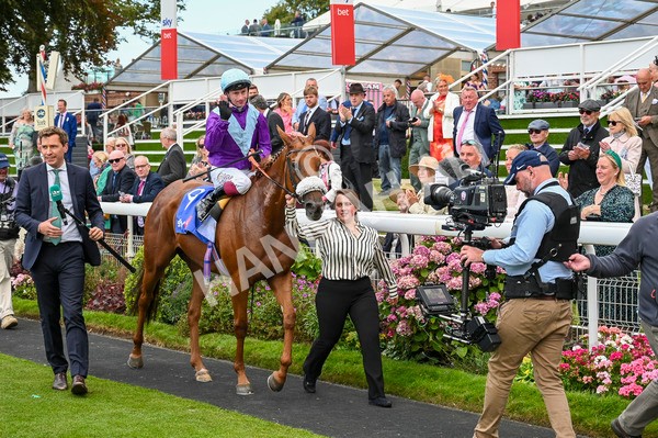 240824-Race 1-See The Fire-0378 - Race 1 1.50pm Sky Bet Strensall Stakes