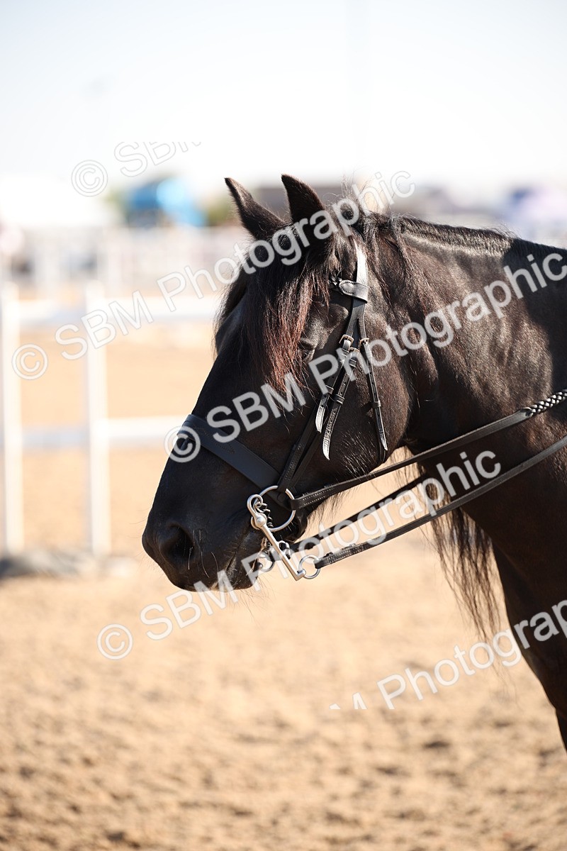 SBM_00723
