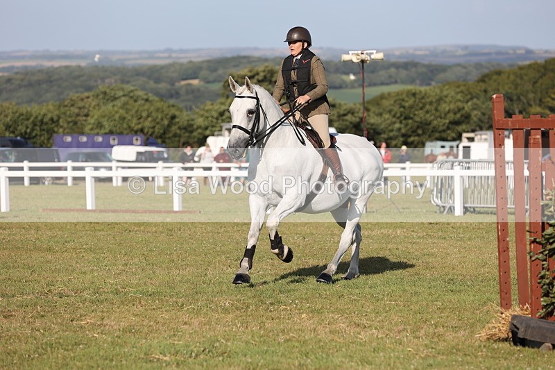 JPP_3330 - Class 22: Working Hunter 90cm