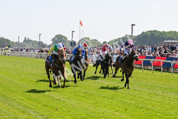 160525-Race 3-Kon Tiki-6425 - Race 3 3.13pm Sky Bet Fillies' Stakes