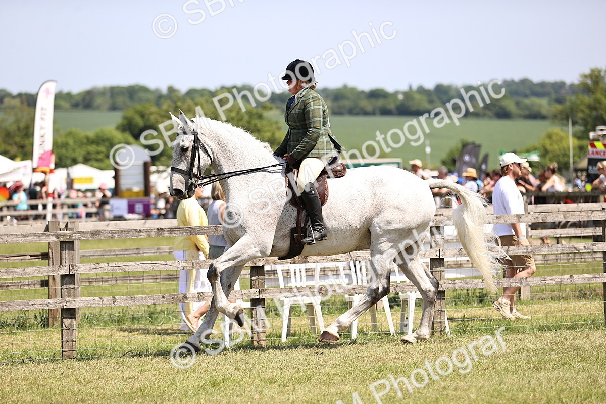 SBM_16114 - Class 79-80 - LIHS BSHA Rising Star Ridden Hunter