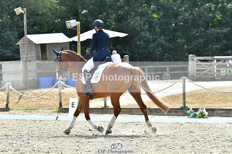 260802A-151510-07331 - Intermediate Bronze