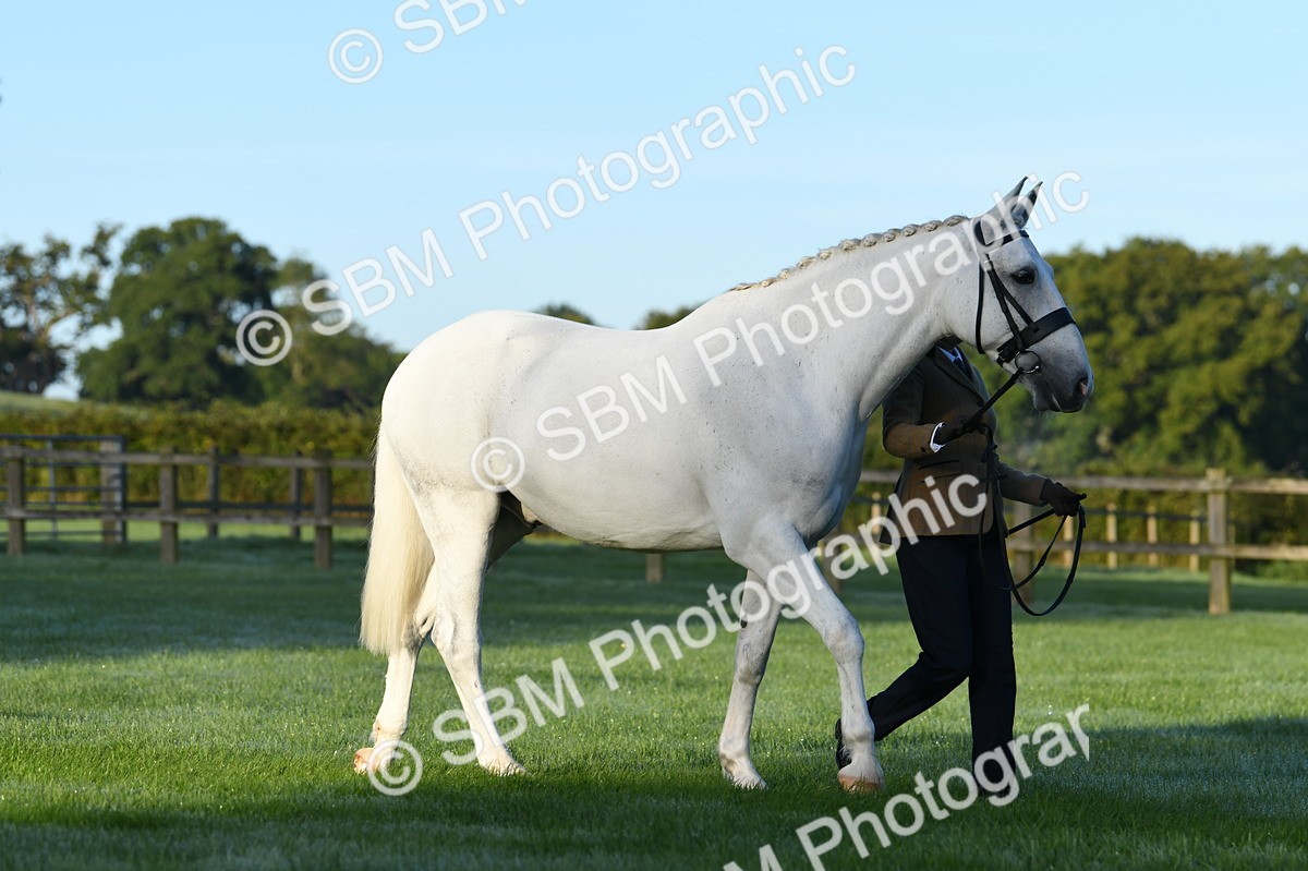 SBM_32460 - S15 - Condition & Turnout In Hand