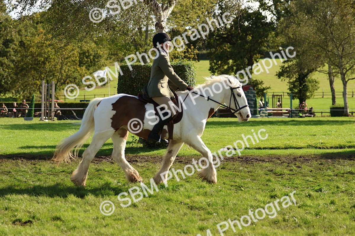 SBM_52379 - S13 - Pony Club Pony