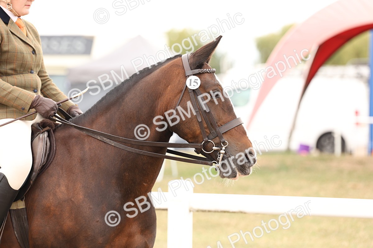 SBM_19483 - Class 215 - Ridden Show cob