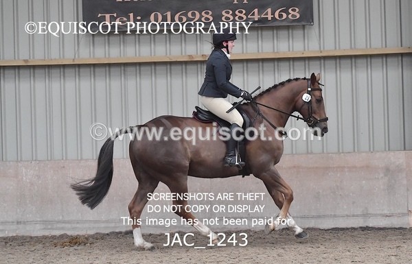 JAC_1243 - CLASS 8 BHS Scotland Riding Club Working Hunter Qualifier (1.00m)