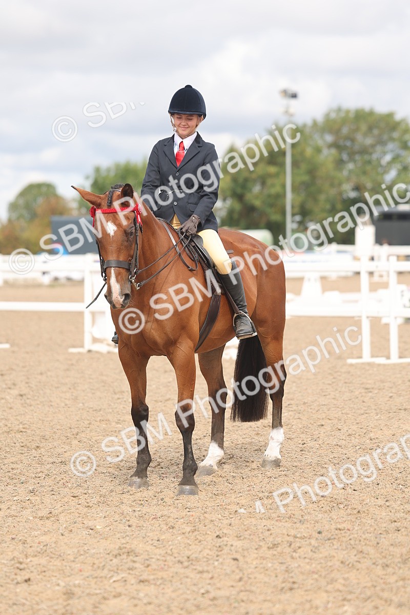 SBM_04541 - Class 19 - Horse/Pony Judge would most like to take home