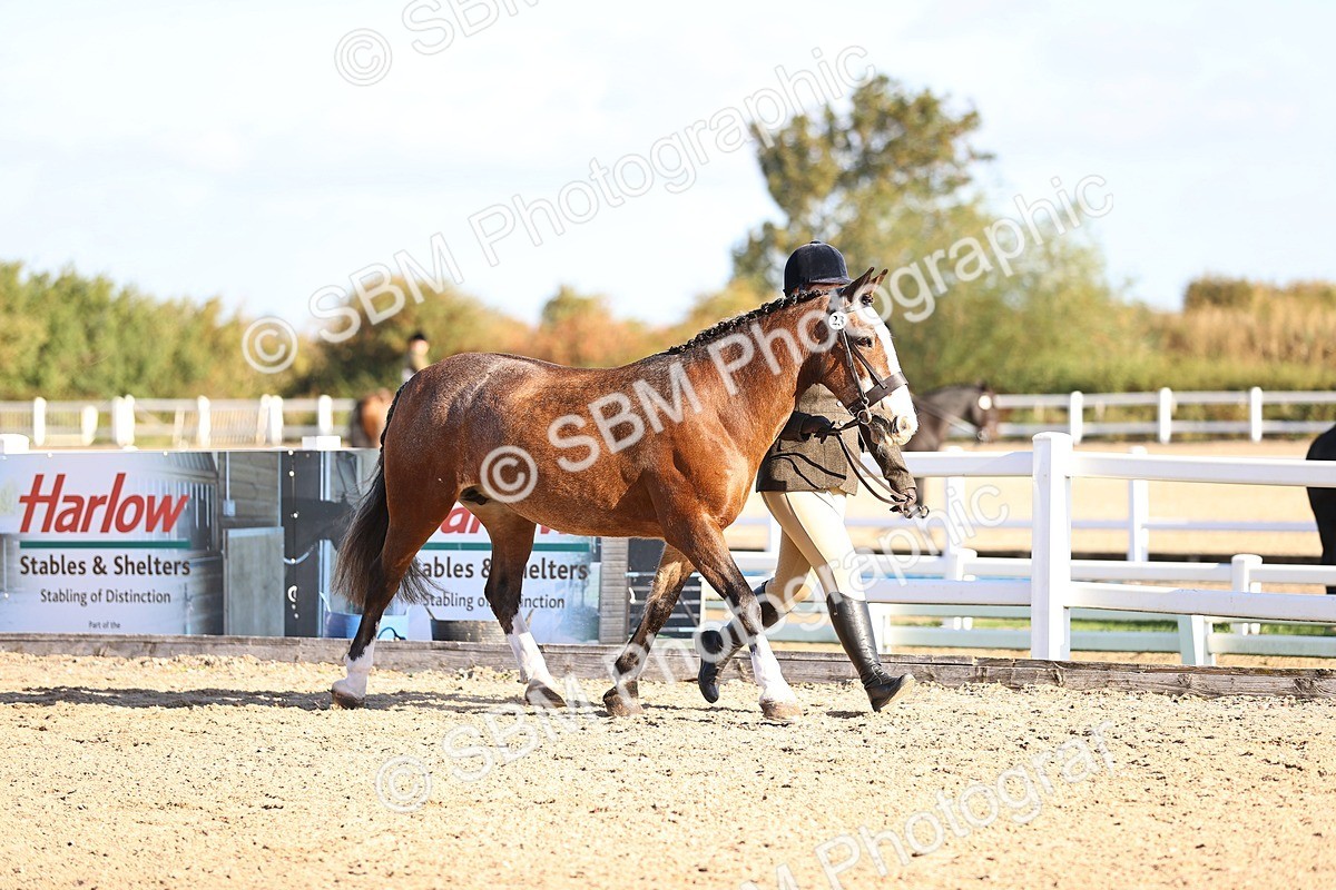 SBM_08411 - Class 402 - IH Veteran Pony