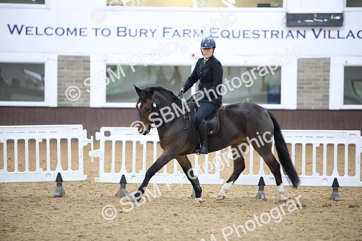 5K7A6090 - Class 48 - Ridden Mare