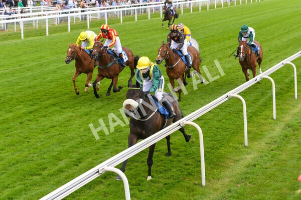 yr11062022r1-141 - Race 1 12.45pm Macmillan Ride of Their Lives, supported by Sky Bet