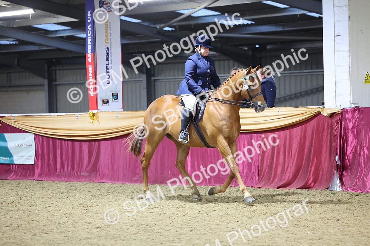 0B8A4281 - Class 108Ridden Retired Racehorse- Final Judging