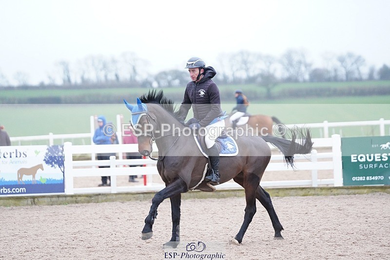 250223-095756-03176 - Cls 19 BlueChip JJ Winter Discovery Champ Q