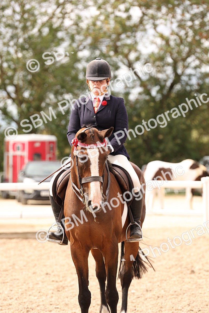 SBM_17375 - Class 214 - Ridden Hack Riding Horse