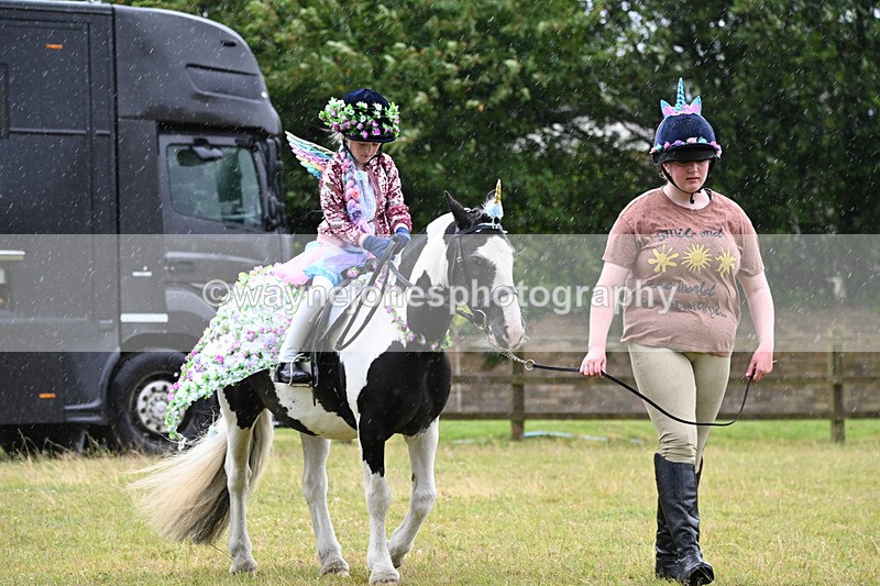 WJ6_9103 - Class 11 Fancy Dress