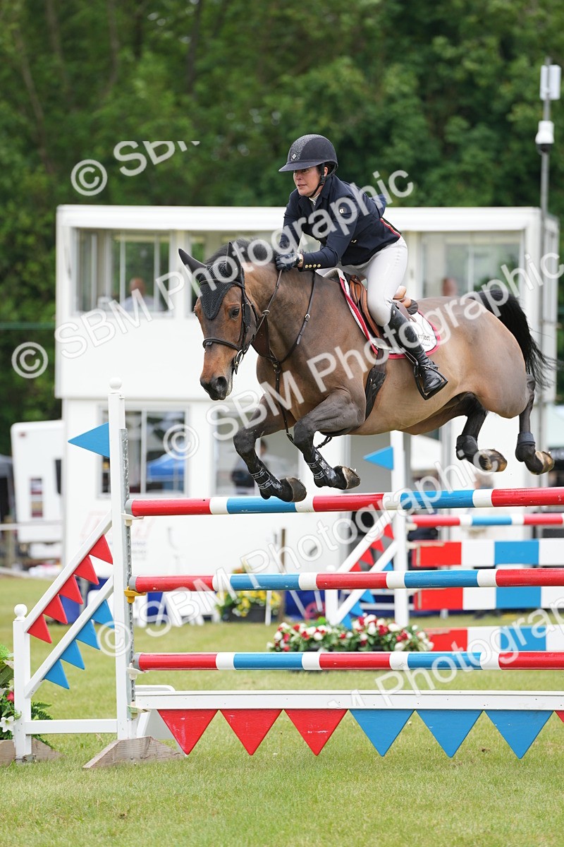 SBM_05241 - Class 201 - British Horse Feeds Speedi Beet Horse of the Year Show Grade  C