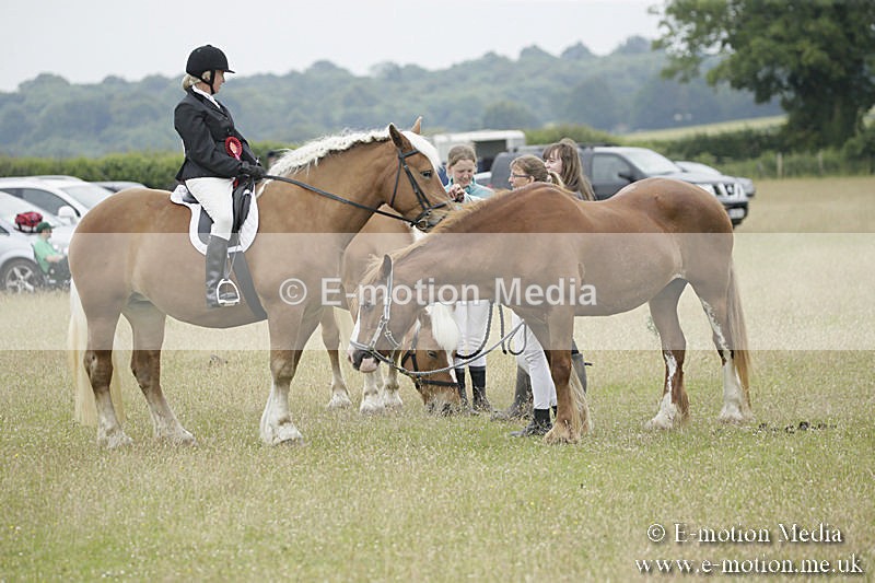 B230619-0905 - Bourne Valley Riding Club Summer Show 23/06/19