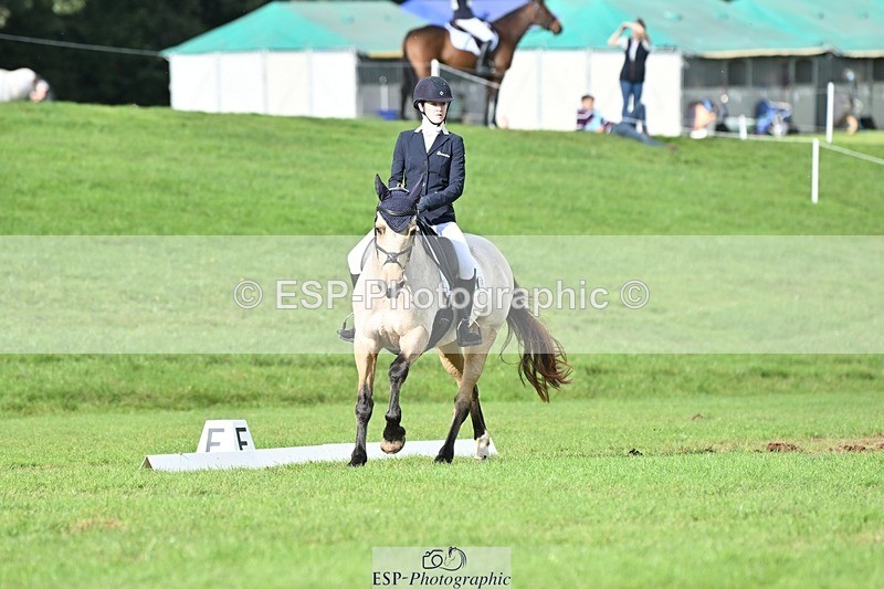 231020-141747-10869 - 664-TEMPLEMORE.WILD.ONE-Bella.Stevens-DR