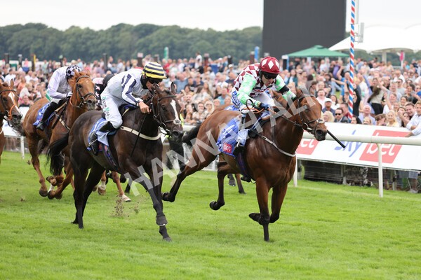 yr24072021r1-74 - Race 1 2.05pm Sky Bet Jump Jockeys Nunthorpe