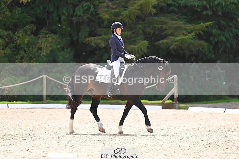 240809-141021-01779 - 200-Rebecca.Ezra-Maesmynach.Mr.Sam