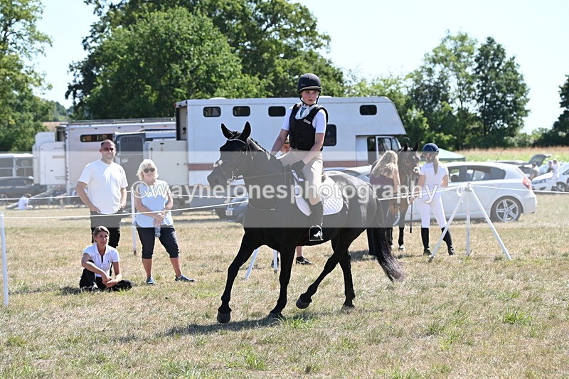 WJ6_8915 - Class 38 Ridden Riding Horse/Pony