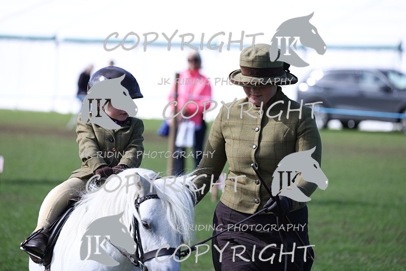 APP_3921 - Class 13 Lead rein