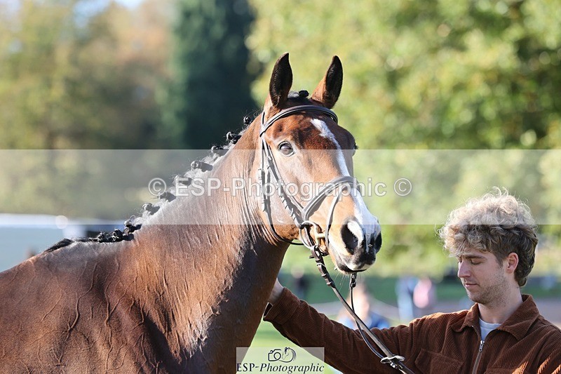 241027-092624-15296 - 327-Daniel.Hockey-JANE.CAMILLE