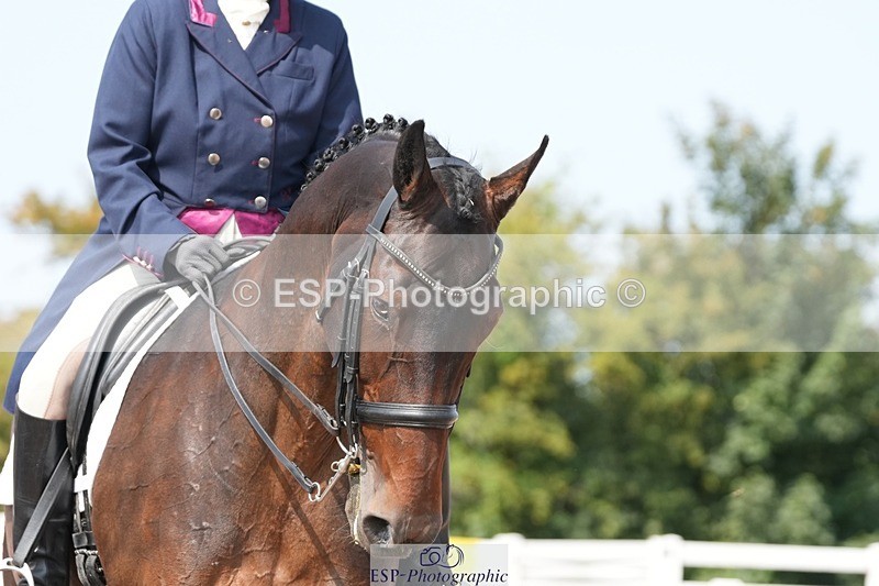 250815-120338-01044 - 015-Susan.LanzWellshead.Foxtrot