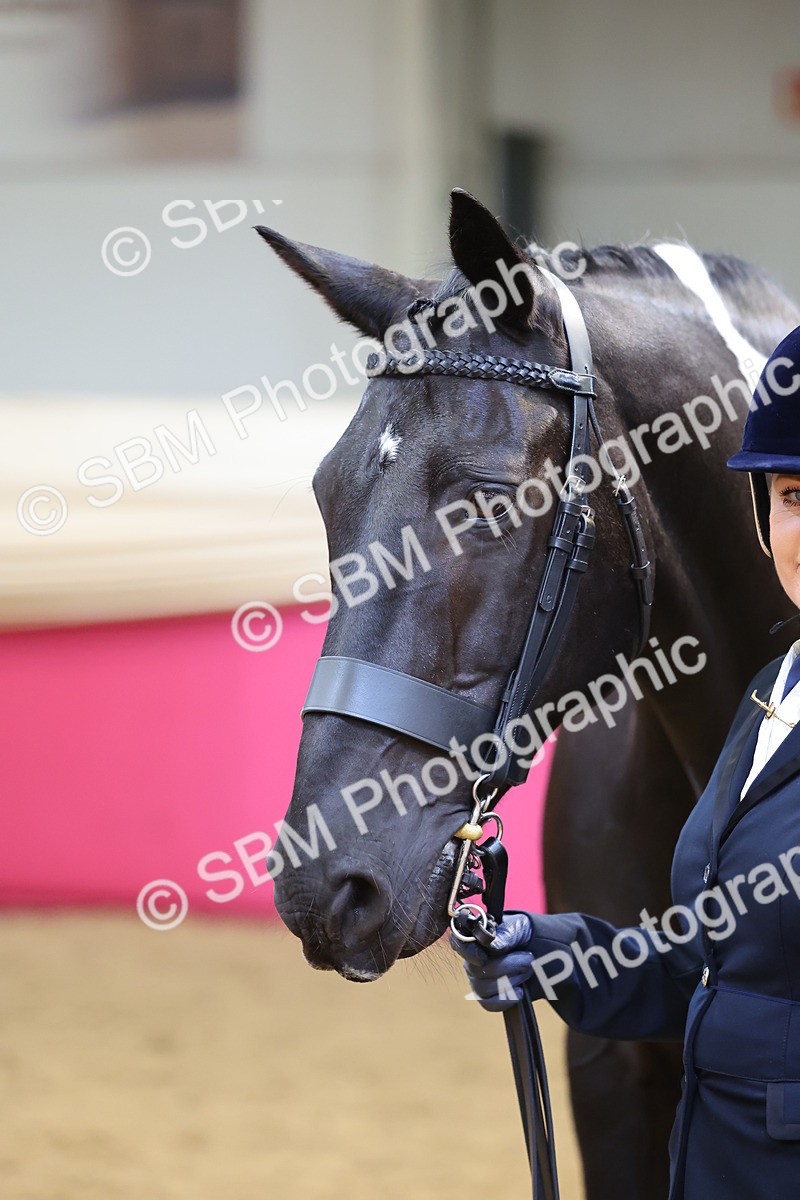 SBM_22730 - Class 903 - Supreme Final - IH Pre Vet