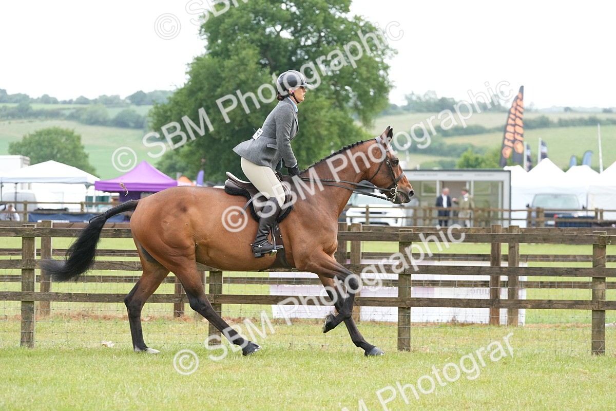 SBM_12730 - Class 97-98 - LIHS BSHA Rising Star Working Show Horse Hunter