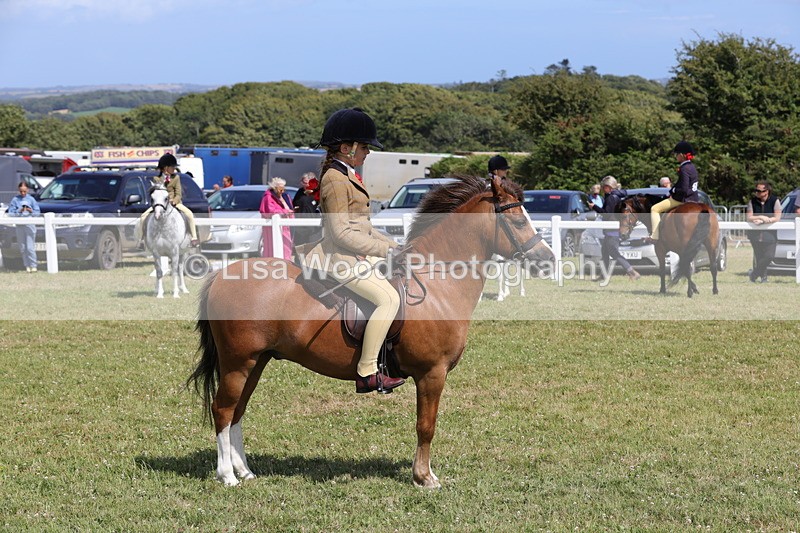 1X9A5411 - Class 37: NPS M&M First Ridden