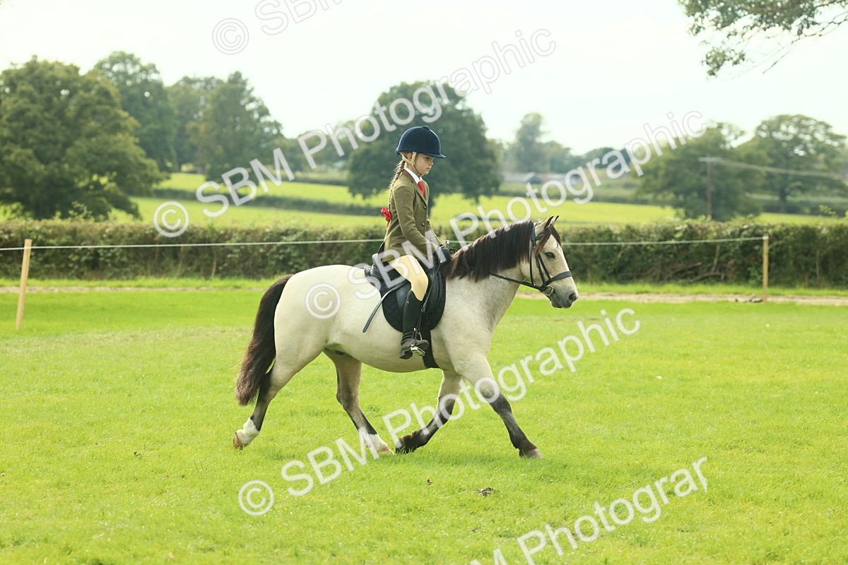 SBM_69788 - S59 - Mountain & Moorland Ridden Small Breeds