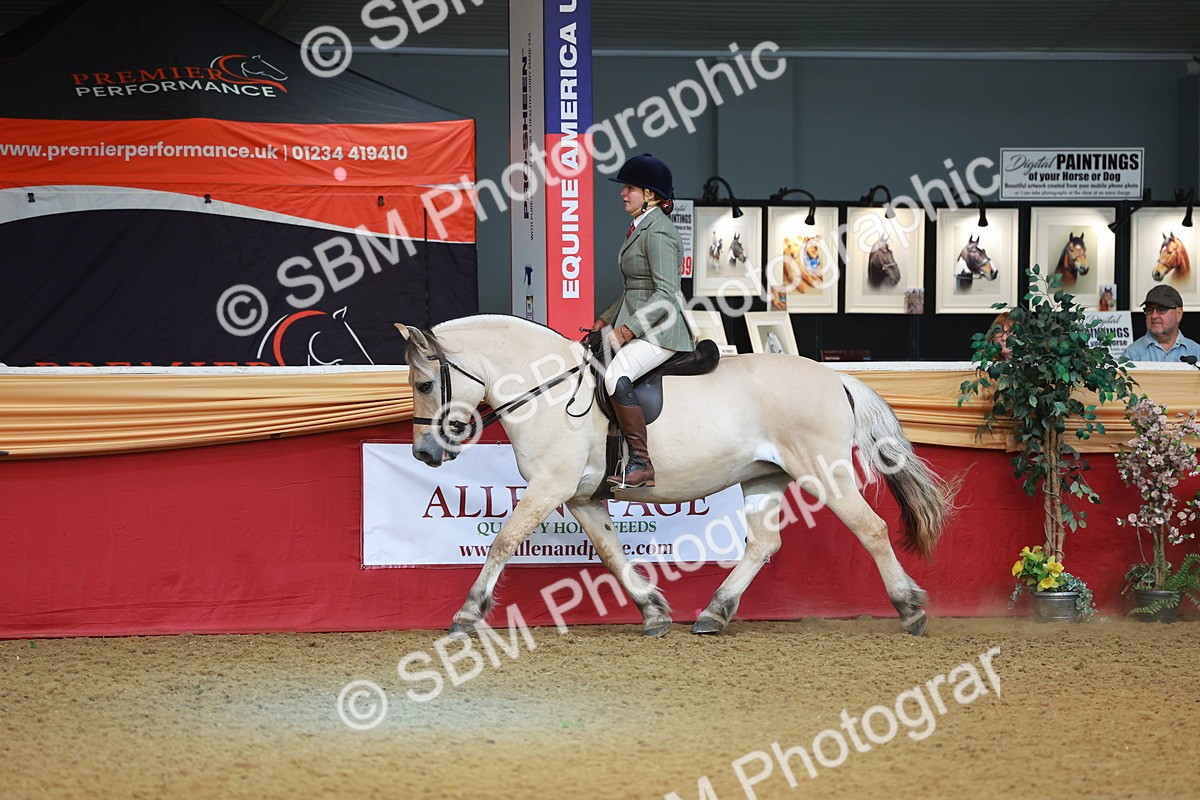 SBM_09520 - Class 102 - HOYS Veteran Qualifier - Ridden Veteran