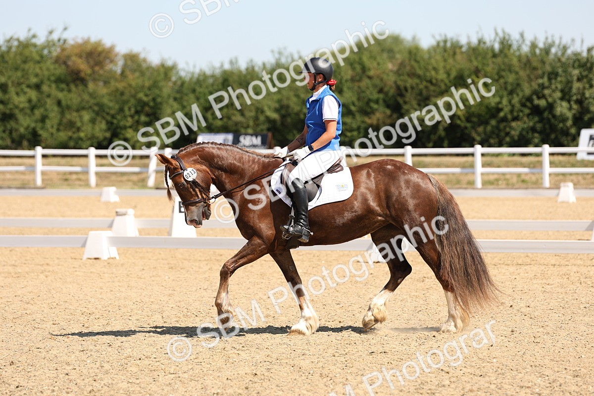 SBM_001130 - Intro 2