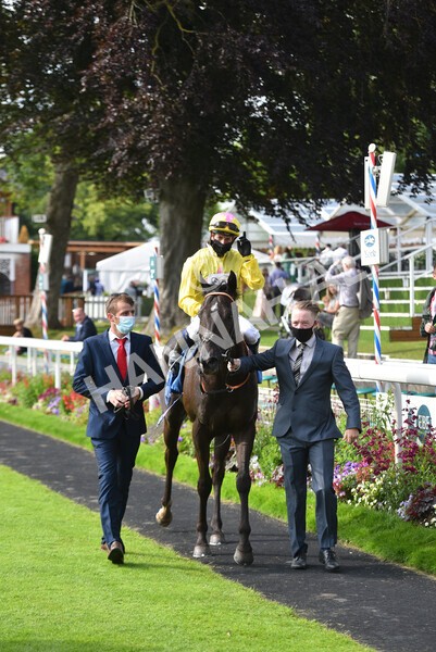 yr10072021r7-24 - Race 7: 5.15pm John Smith's Stakes