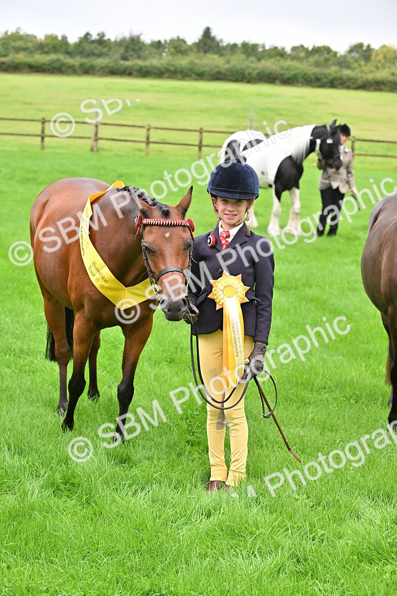 SBM_32662 - S15 - Top Turnout In Hand
