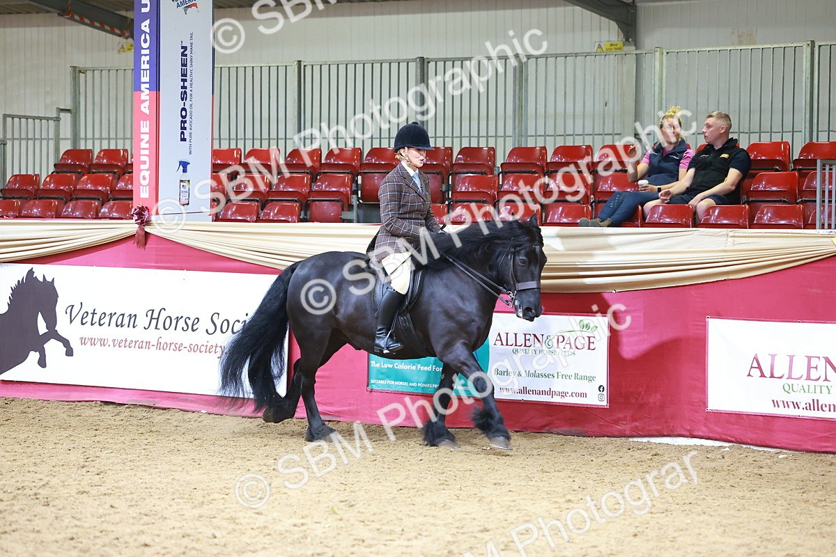 SBM_06193 - Class 12R - Ridden Pre-Vet