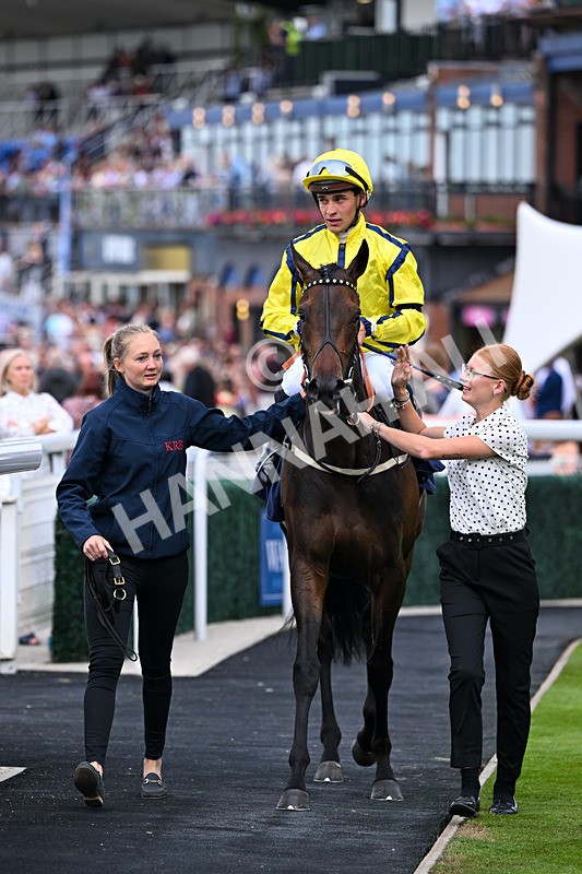 030726-Race 2-Tropical Crown-0579 - Race 2 18.30pm Ire-Incentive, It Pays To Buy Irish EBF Fillies' Novice Stakes