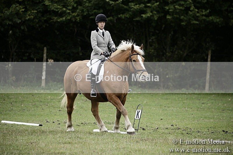 BVR080918 84 - BVRC Novice Dressage & CR 08/09/18