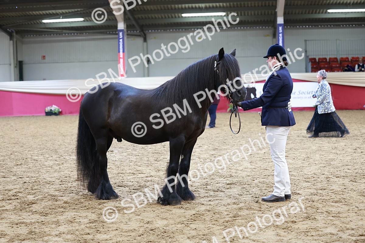 SBM_17356 - Class 951 - M&M IH Supreme Final