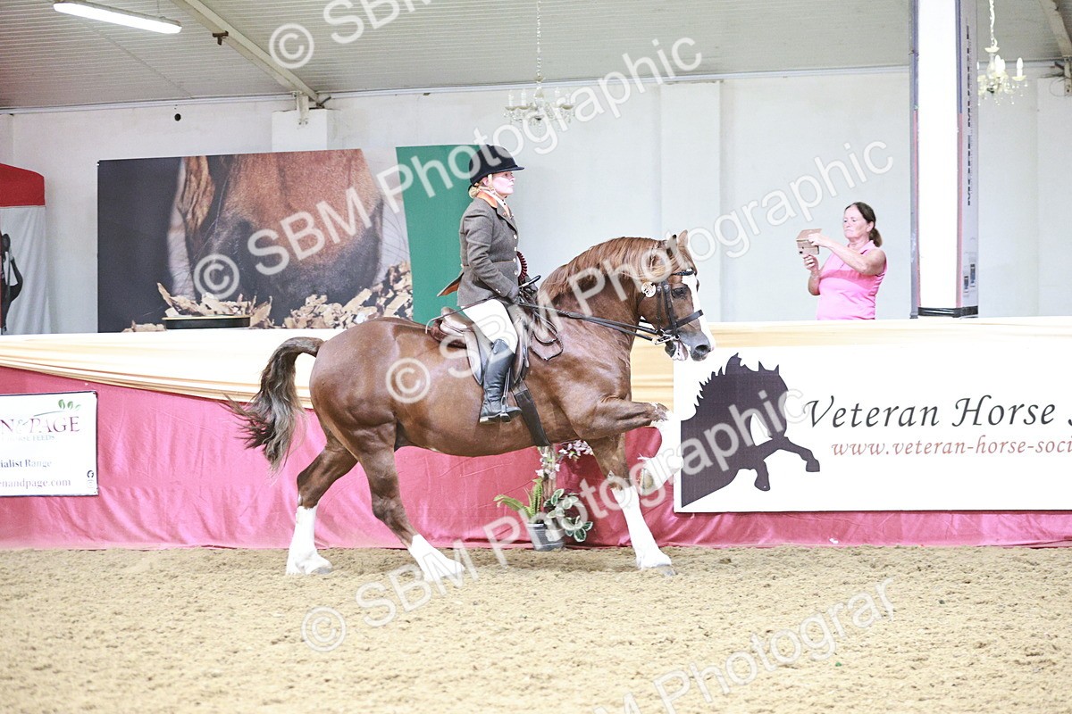 SBM_08655 - Regional Ridden Champ